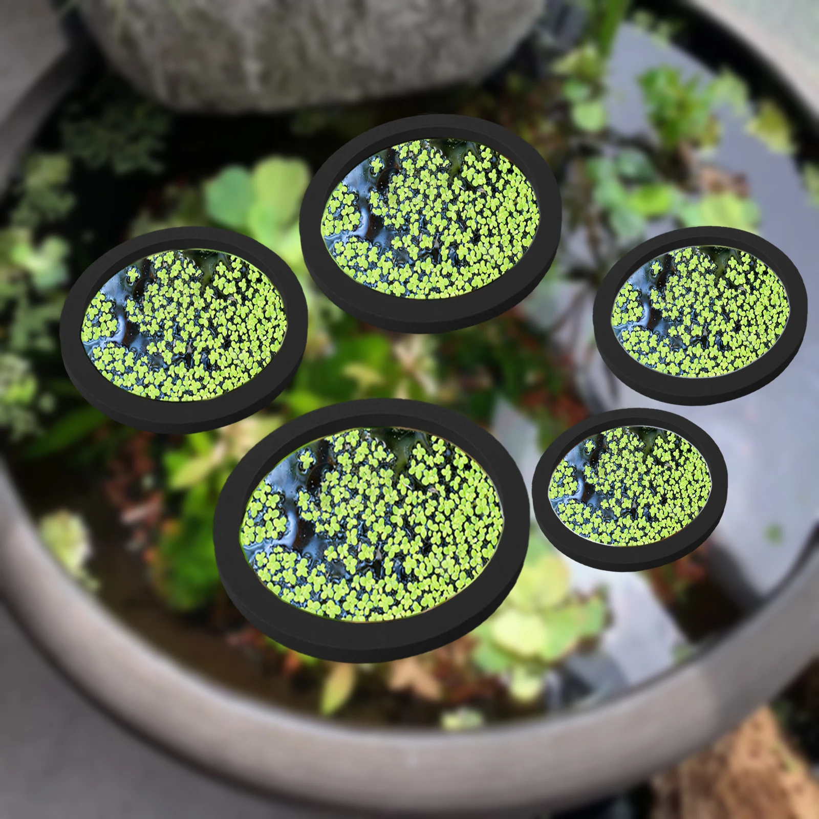 Aquarium Planted Fish Tank - 5Pcs EVA Fish Feeding Ring Aquarium