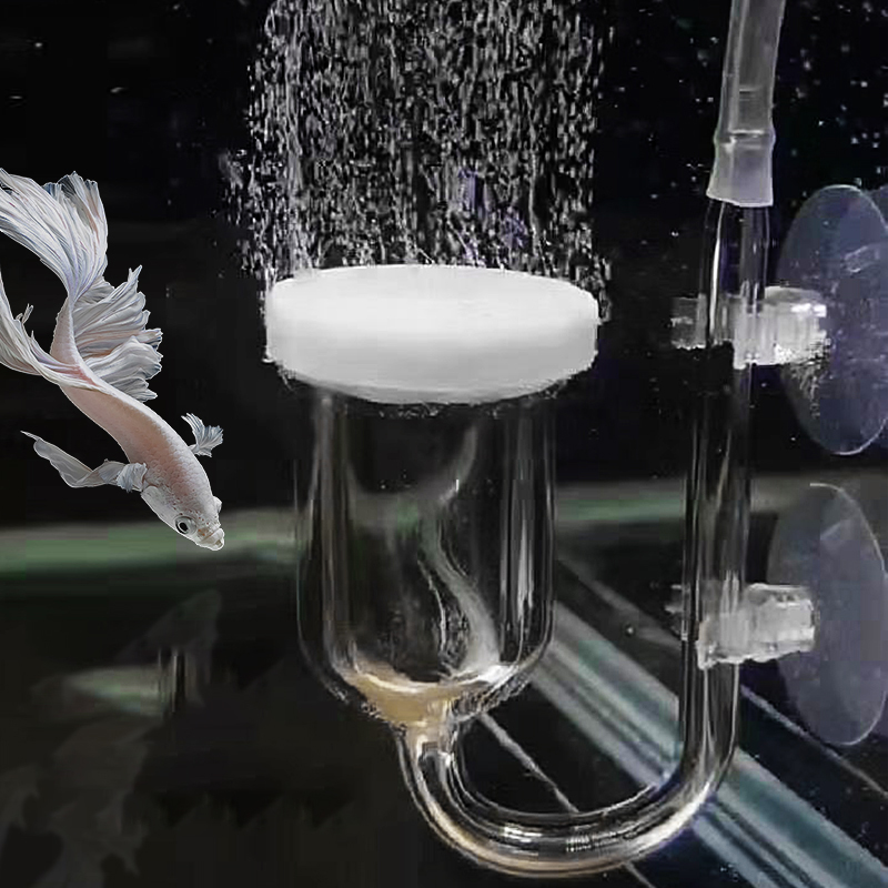Aquarium Lily Pipe - Glass Air Pump Sand Stone Aquarium