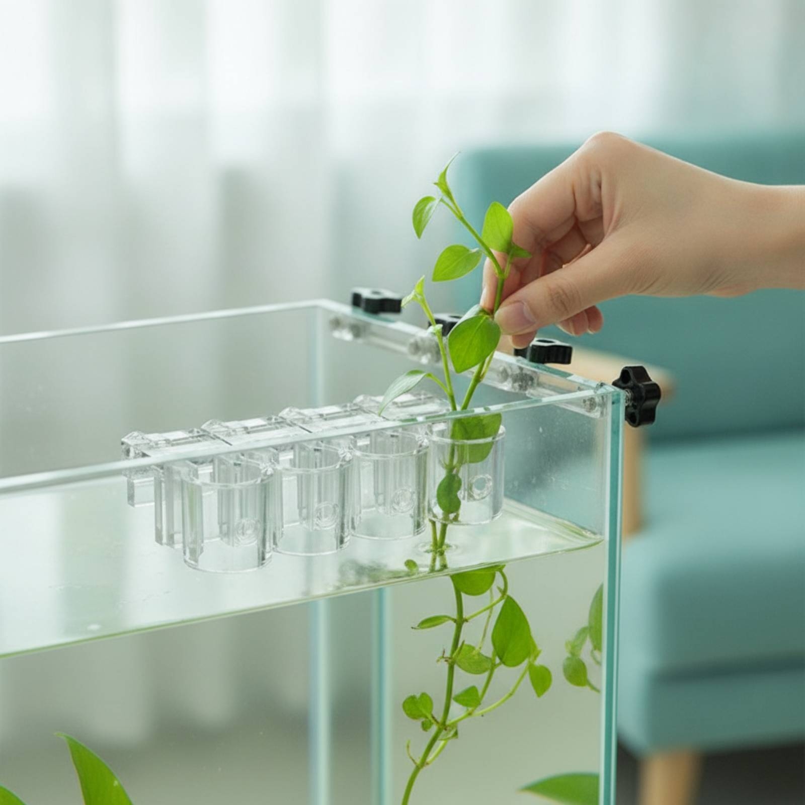 6 Pieces Aquarium Planter Clea - Aquarium Planted Plants review and price