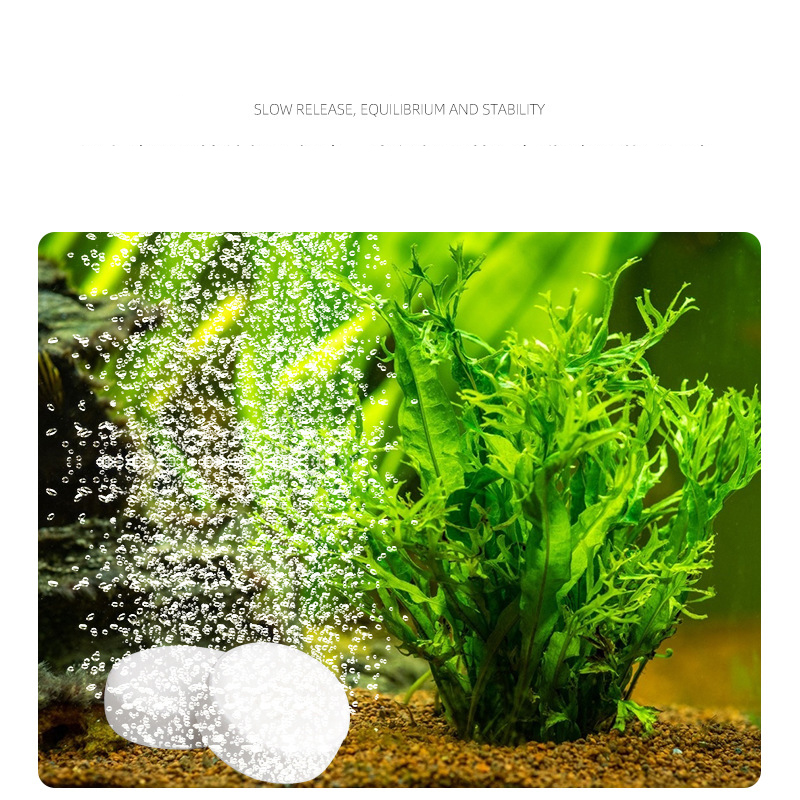 ISTA  Fish Tank Aquarium CO2 T - Planted Aquarium Without Co2 review and price