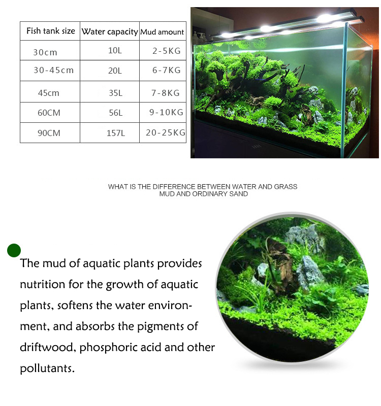 Aquarium Water Grass Mud Plant - Aquarium Plant Seeds review and price