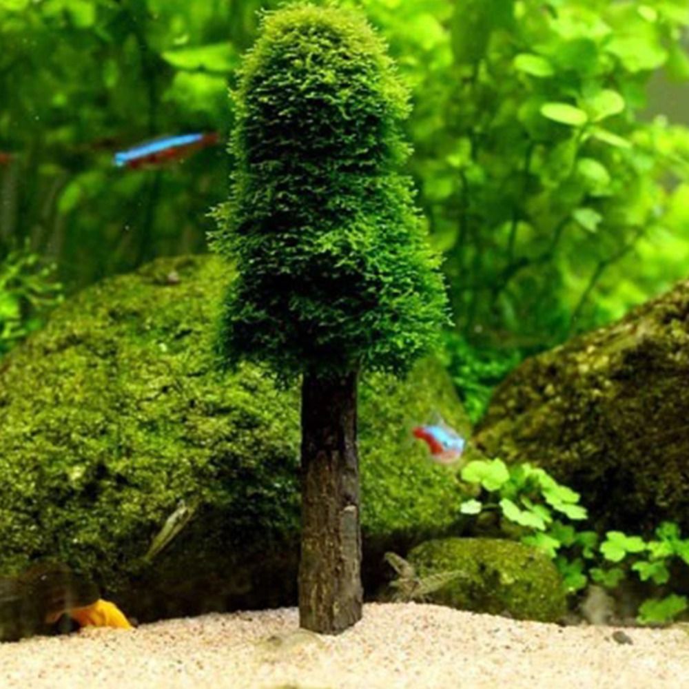 Simulation Christmas Tree Aqua - Aquarium Planted Background review and price