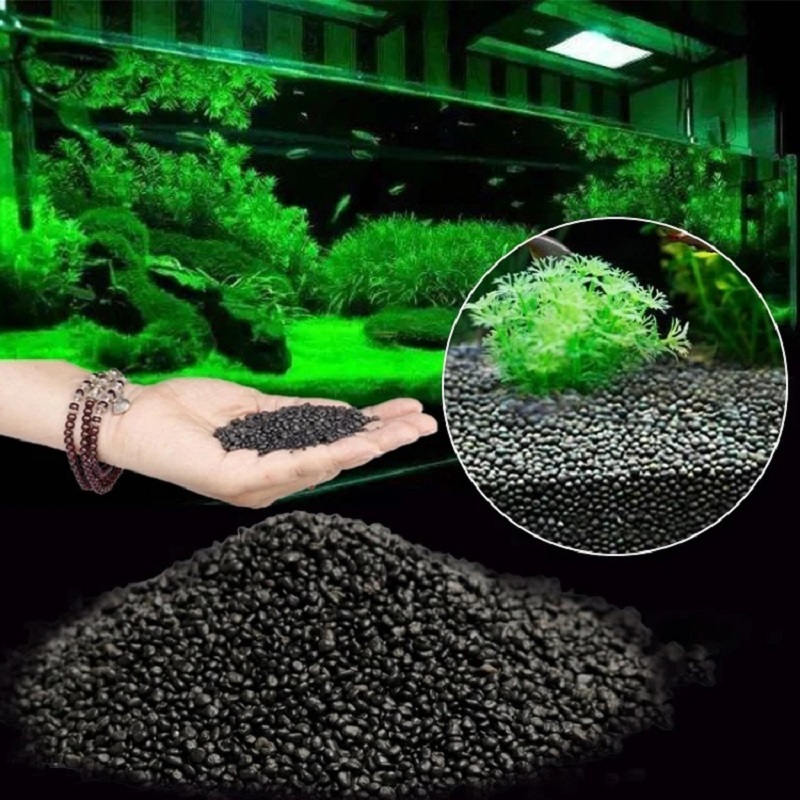 Fish Tank Water Grass Mud Plan - Aquarium Plant Seeds review and price
