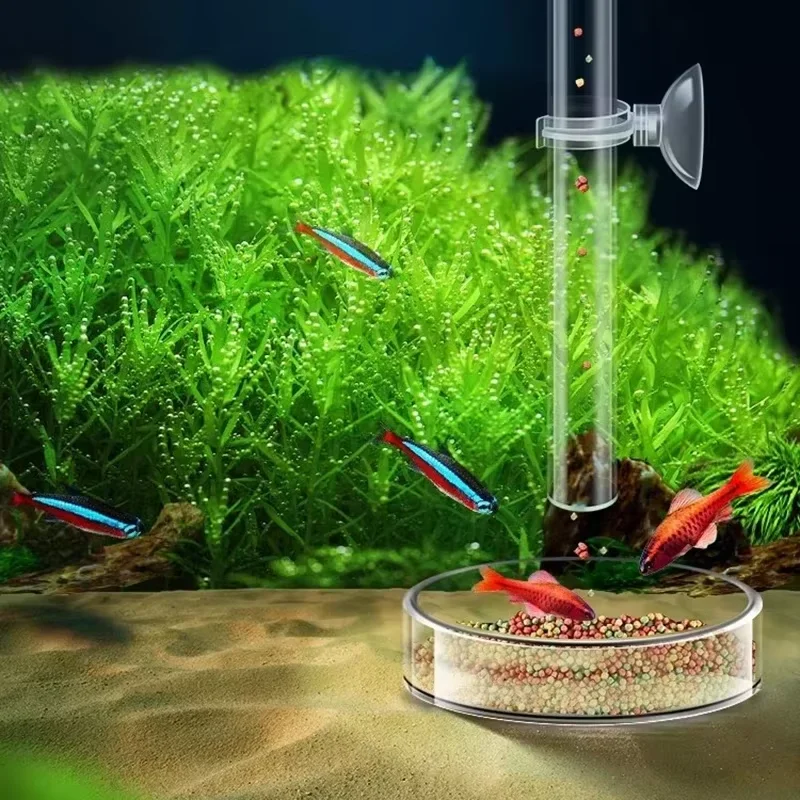 Aquarium Glass Feeding Tube &  - Planted Aquarium Youtube review and price