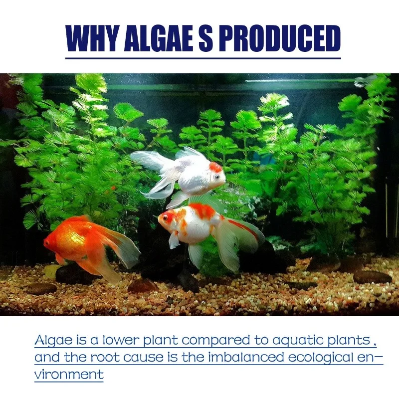 50g High Efficiency Algaecide  - Aquarium Planted Plants review and price