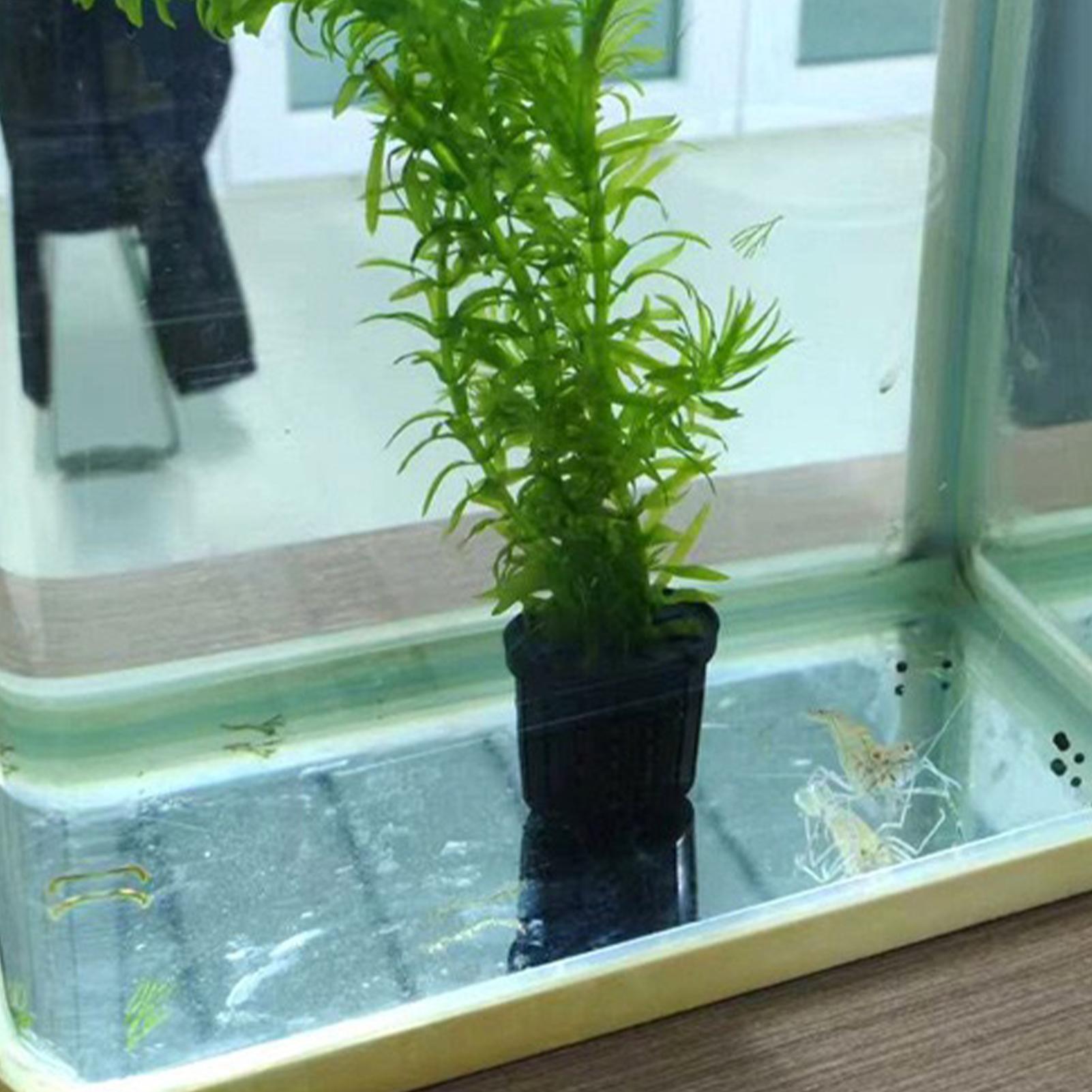 4 Pieces Hydroponic Plant Bask - Aquarium Planted Background review and price