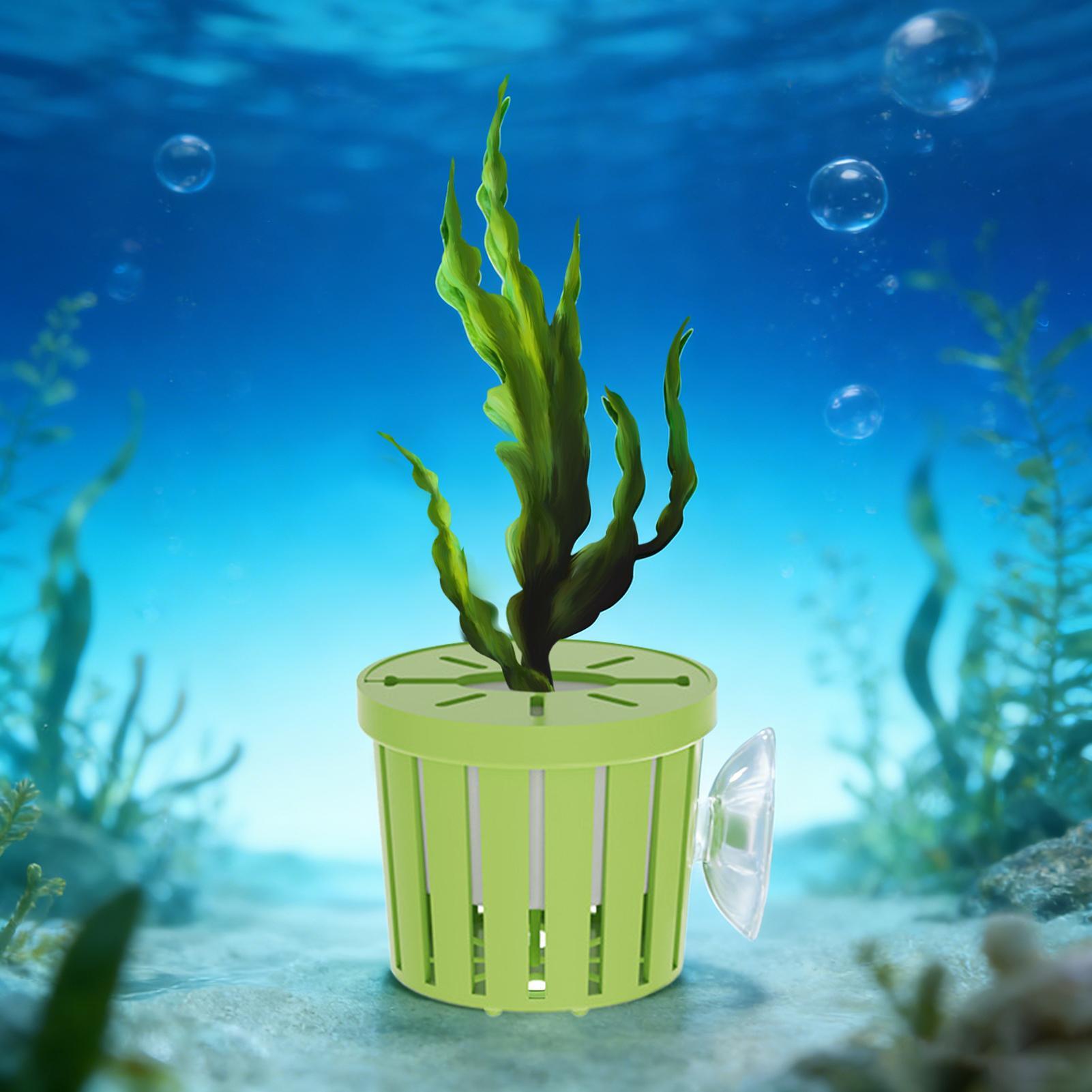4 Pieces Hydroponic Plant Bask - Aquarium Planted Background review and price