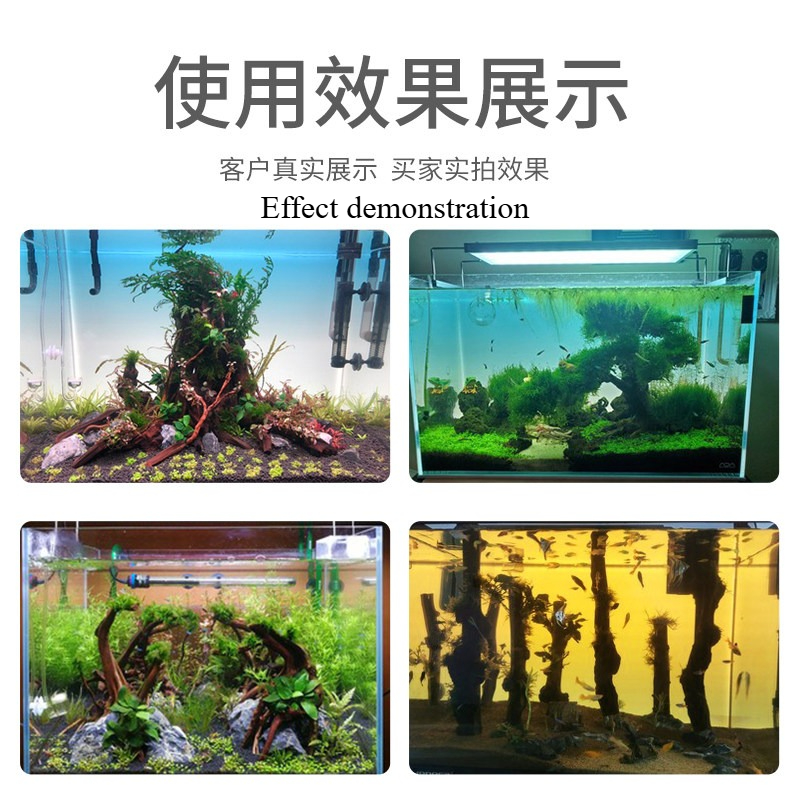 Custom LED Aquarium Background - Aquarium Planted Background review and price