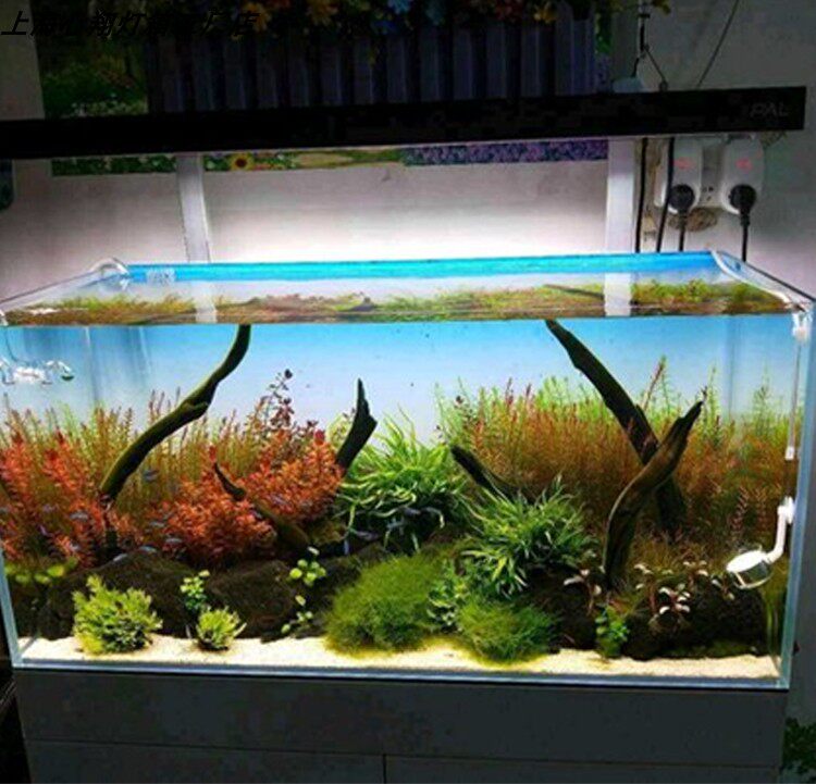Custom LED Aquarium Background - Aquarium Planted Background review and price