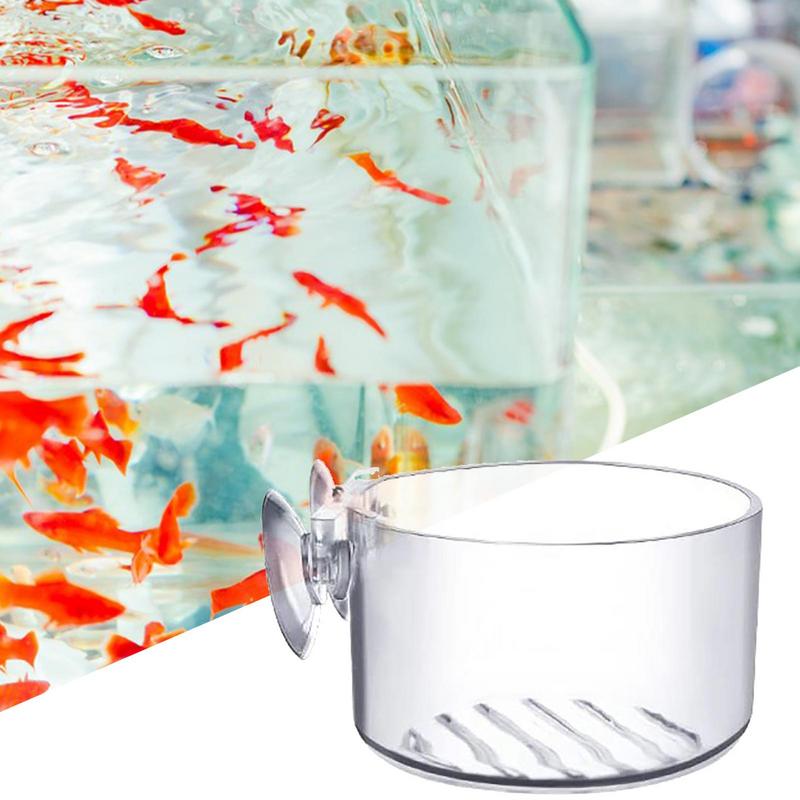 Aquarium Plant Pot Glass Cylin - Aquarium Plant Seeds review and price