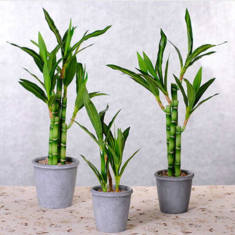 New 40cm Artificial Lucky Bamb - Aquarium Planted review and price