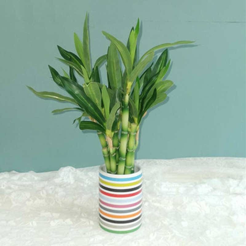 New 40cm Artificial Lucky Bamb - Aquarium Planted review and price