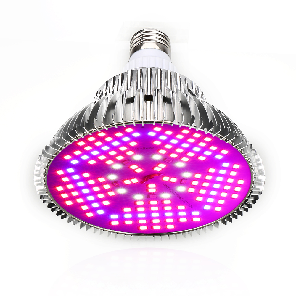 100W Full Spectrum LED Grow Li - Aquarium Plant Seeds review and price