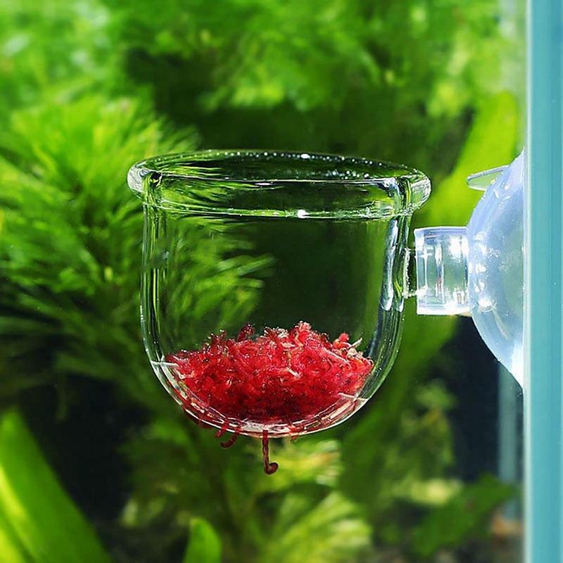 Acrylic Aquatic Plant Cup Aqua - Aquarium Plant Seeds review and price