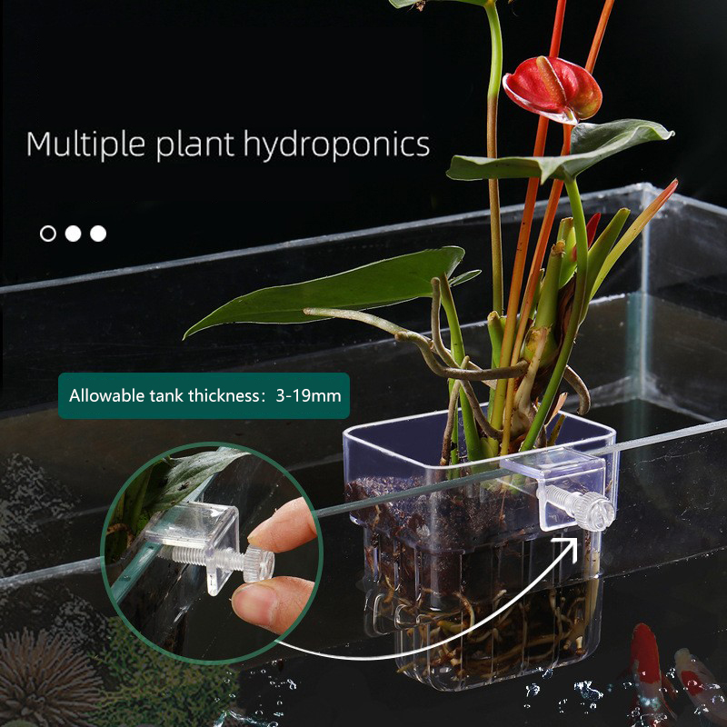 1Pc Aquarium Hydroponic Plant  - Aquarium Plant Seeds review and price