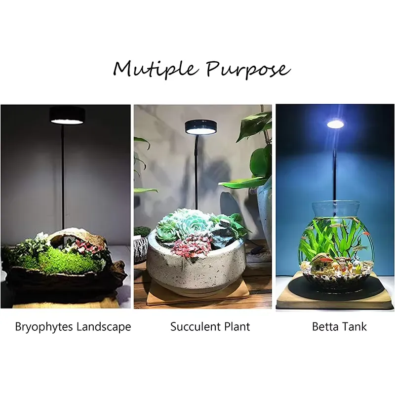 Full Spectrum LED Light with B - Planted Aquarium Hours review and price