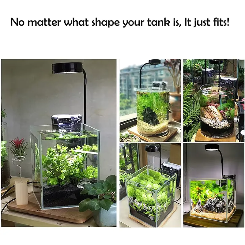 Full Spectrum LED Light with B - Planted Aquarium Hours review and price