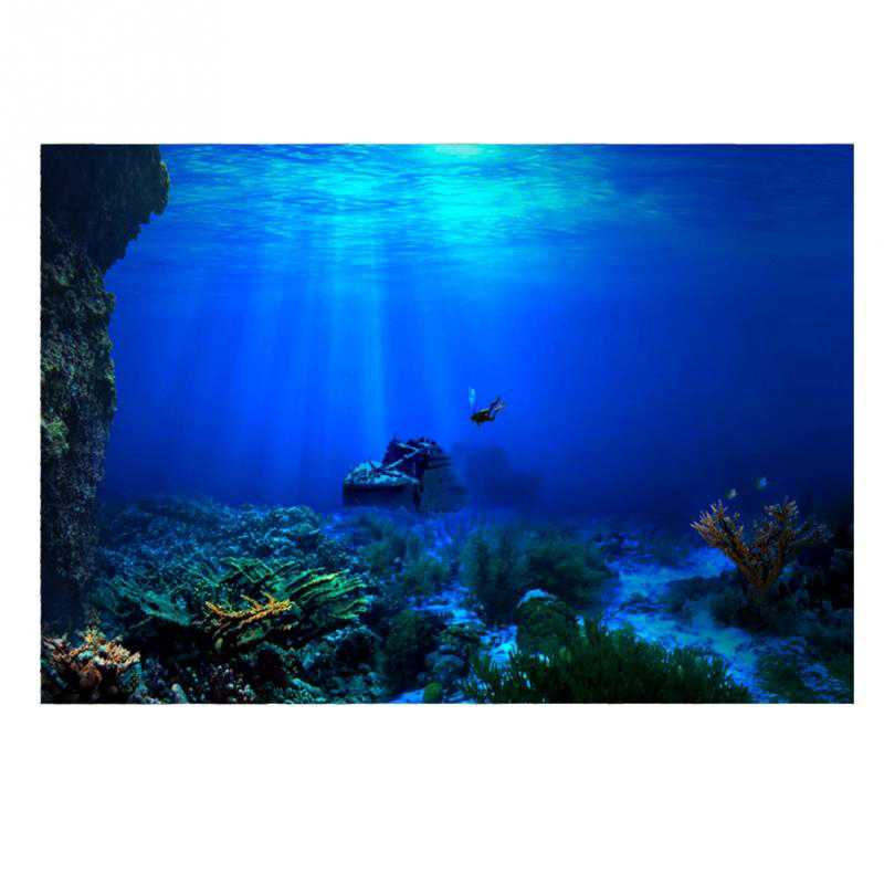 1Pcs Fish Tank Background Deco - Aquarium Planted Background review and price