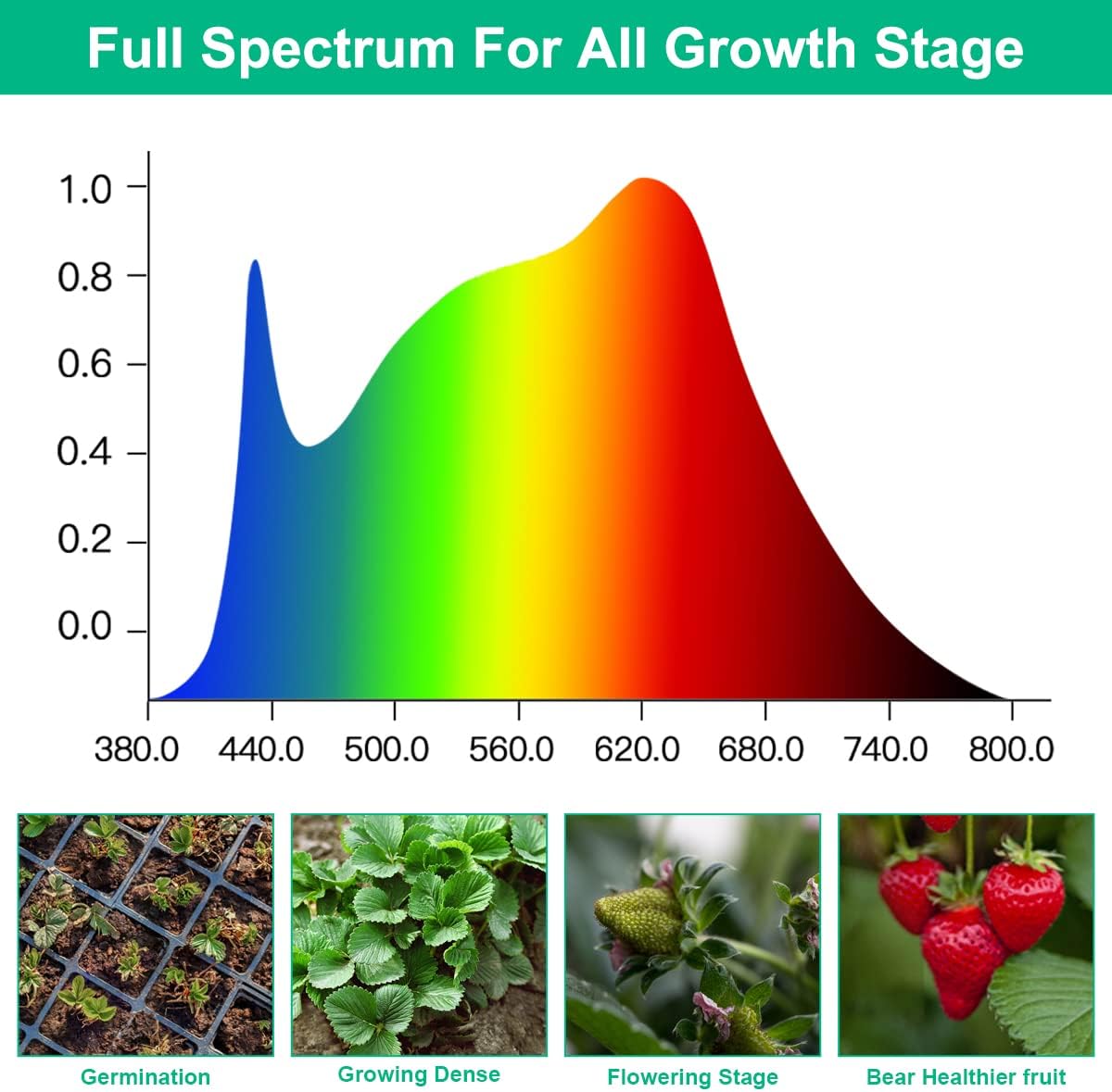 LED Grow Lamps Plant Full Spec - Aquarium Plant Seeds review and price