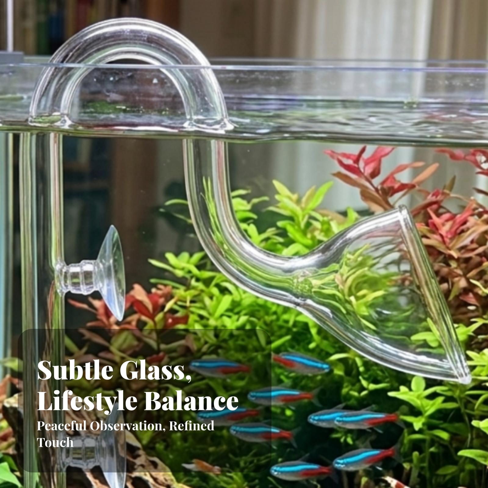 Aquarium Filter Inlet and Outl - Aquarium Lily Pipe review and price