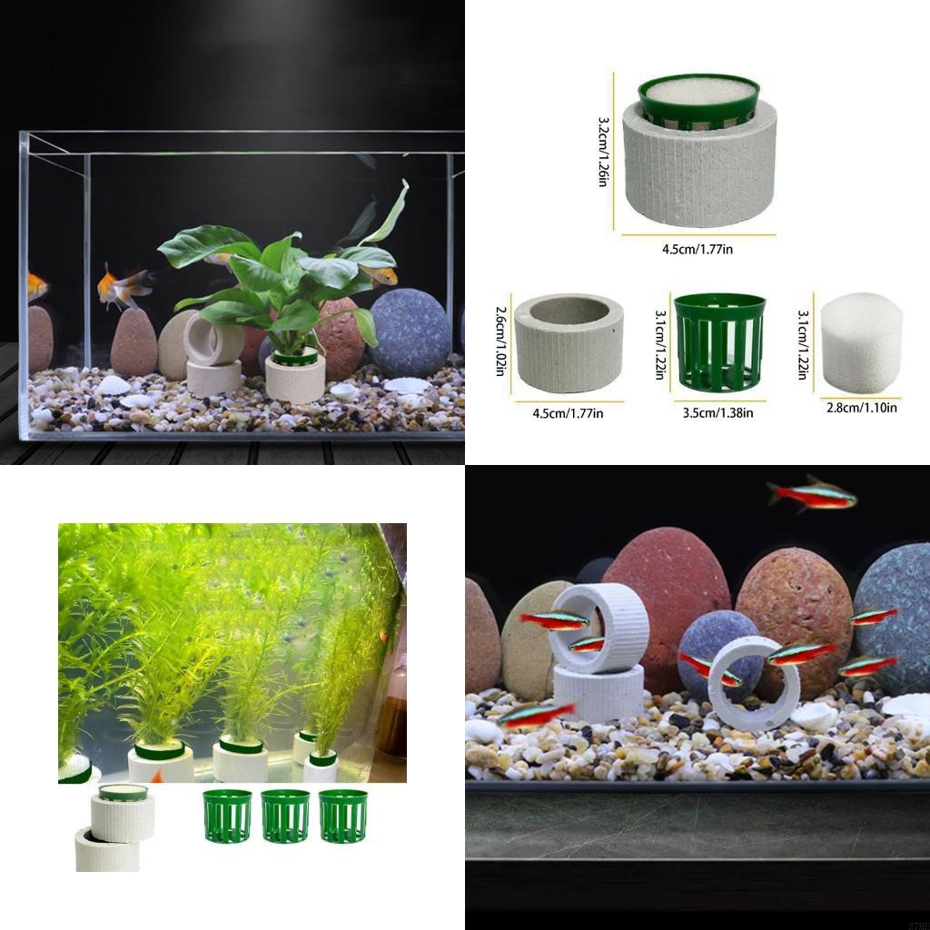 37ME Ceramic Aquarium Plant Ri - Aquarium Planted Background review and price