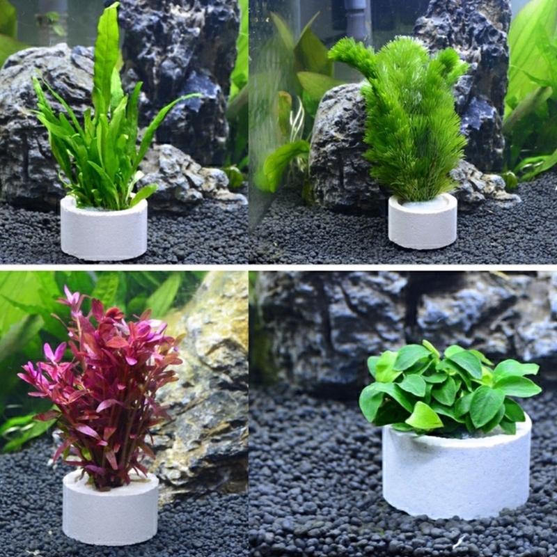 37ME Ceramic Aquarium Plant Ri - Aquarium Planted Background review and price