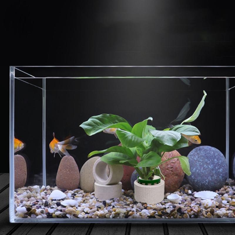 37ME Ceramic Aquarium Plant Ri - Aquarium Planted Background review and price