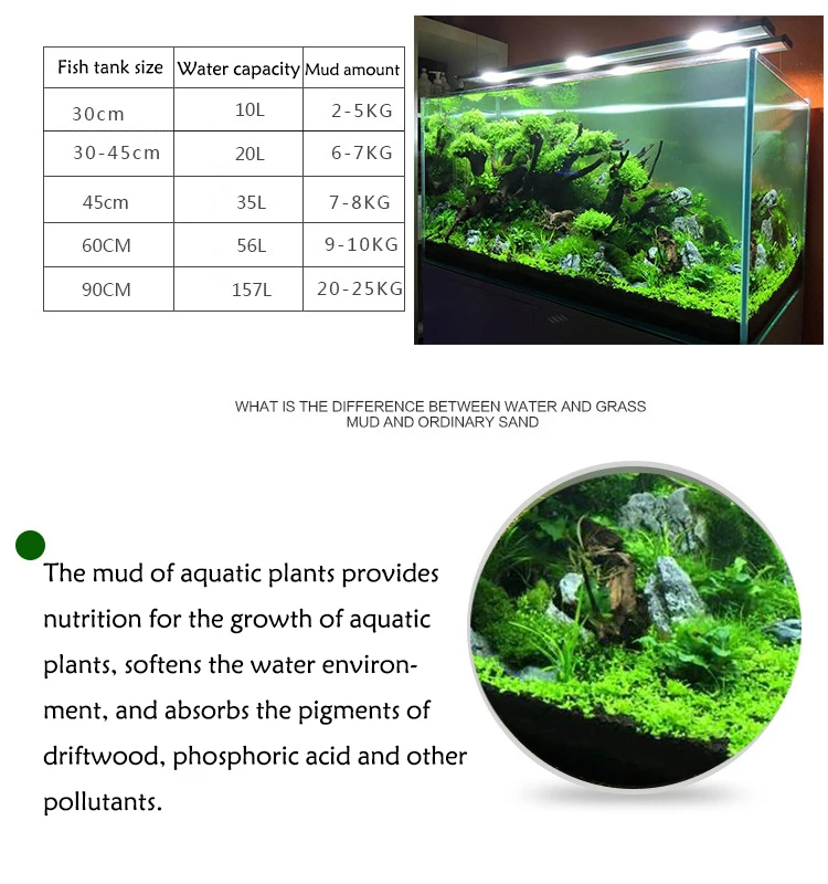 Fish Tank Water Grass Mud Plan - Aquarium Plant Seeds review and price