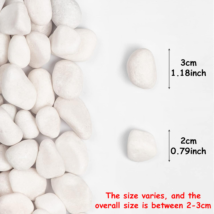 200/400g White High Polished N - Aquarium Planted review and price
