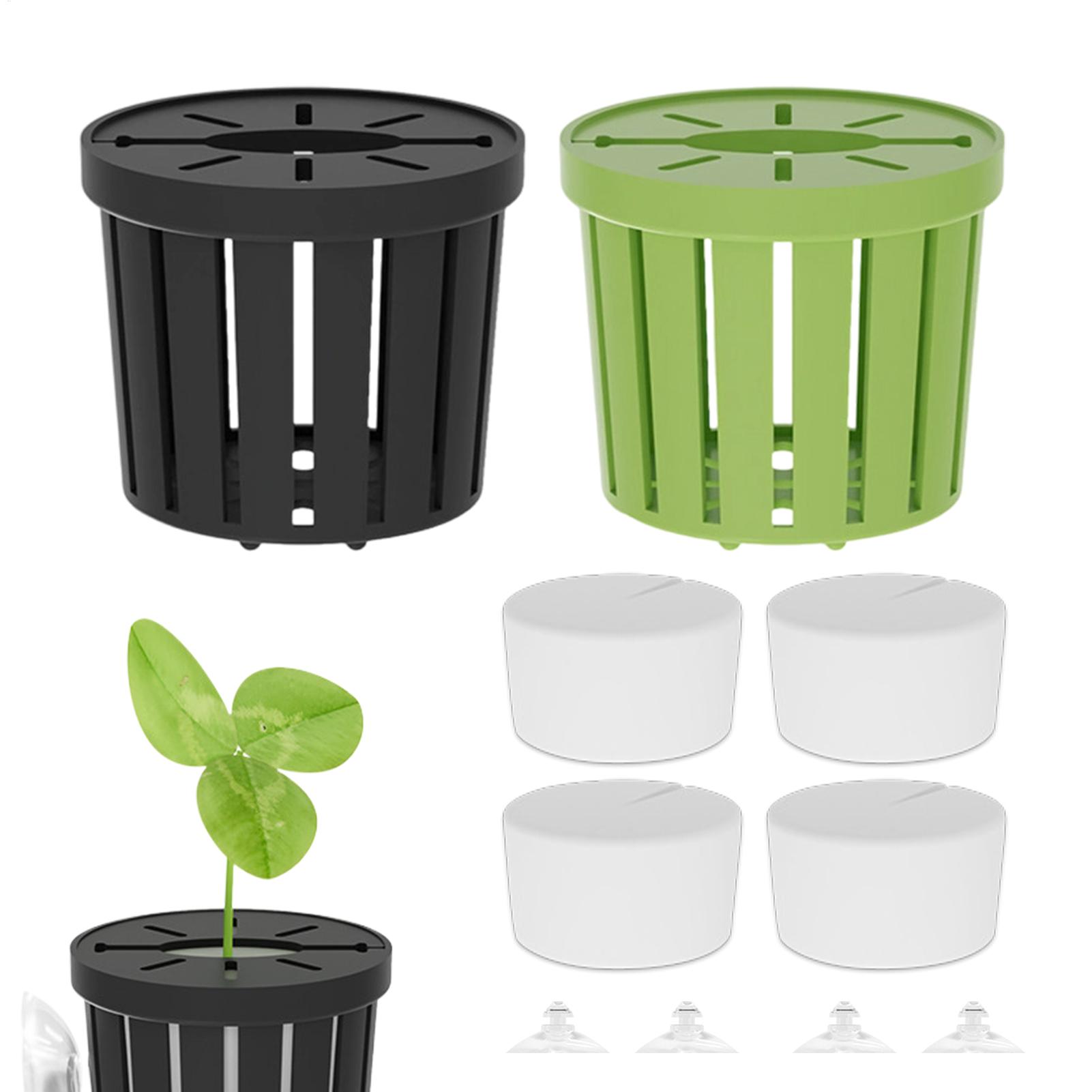 4Pcs Aquatic Plants Fixed Set  - Aquarium Planted Background review and price