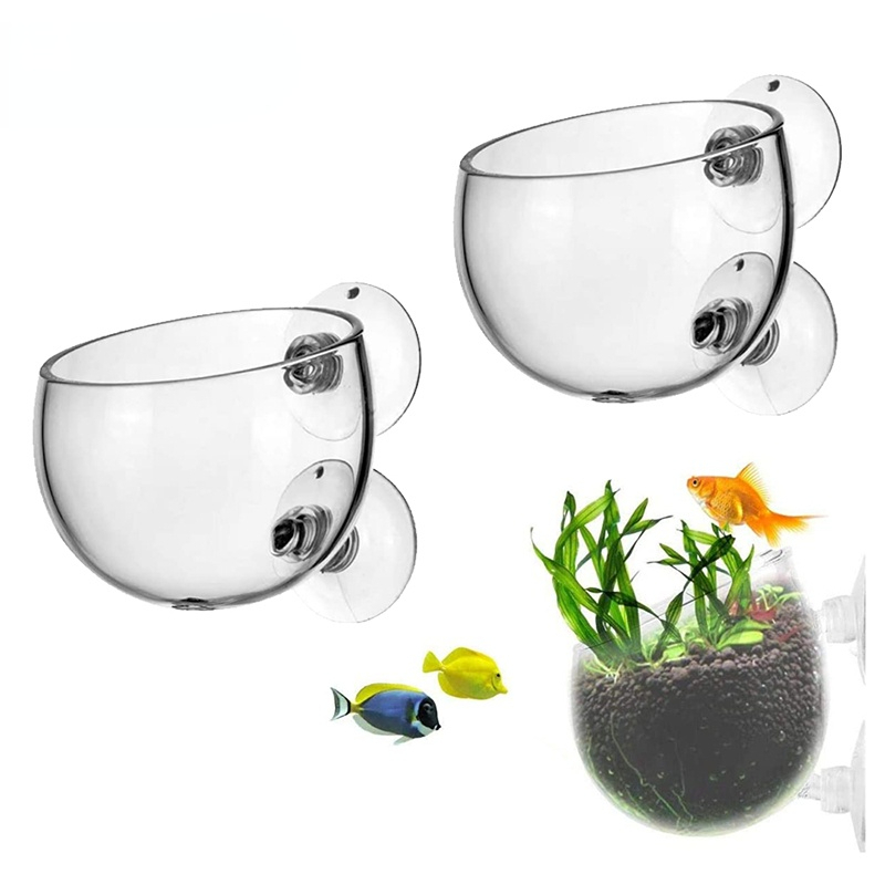 New Aquarium Plant Pot Glass C - Aquarium Plant Seeds review and price