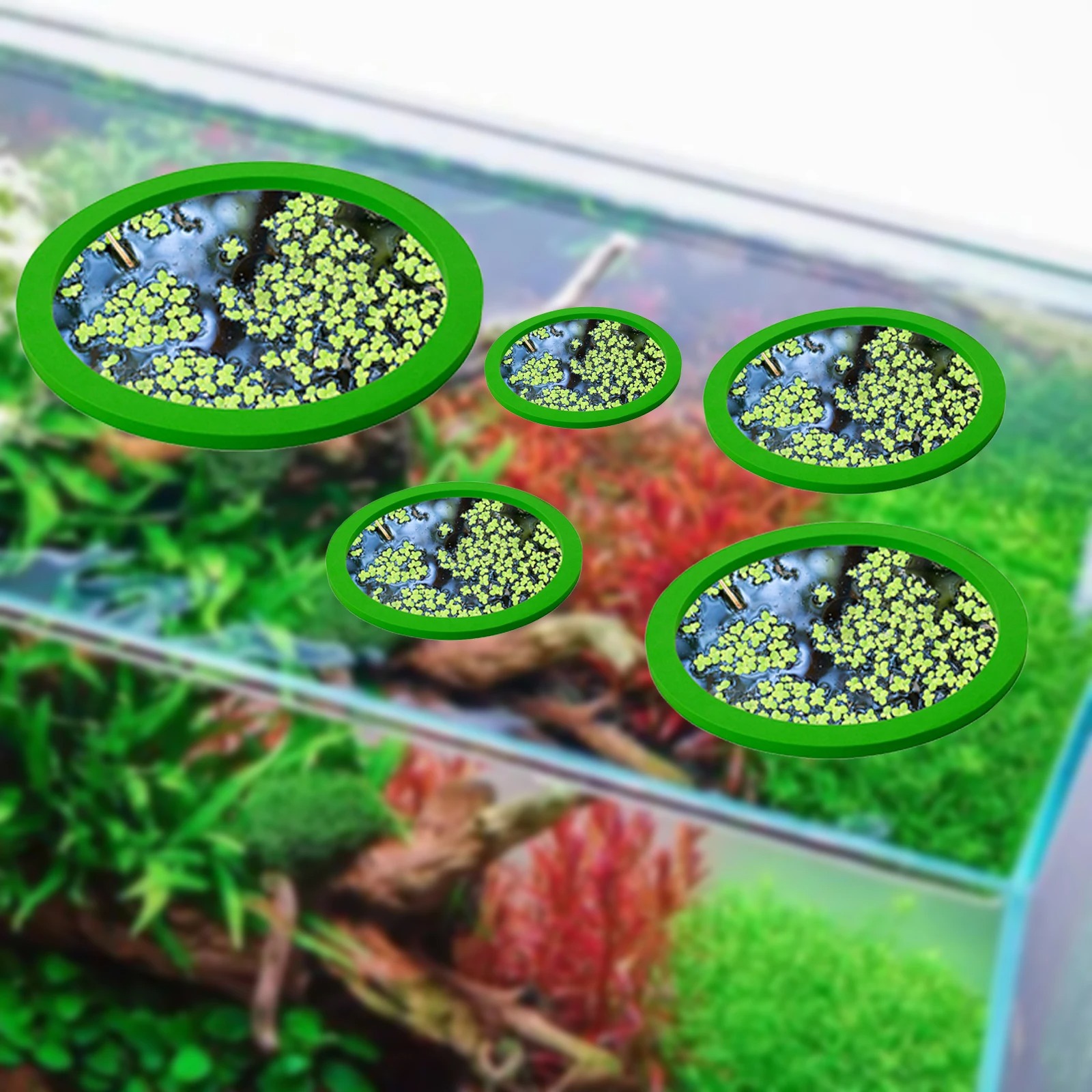 5Pcs EVA Fish Feeding Ring Aqu - Aquarium Planted Fish Tank review and price
