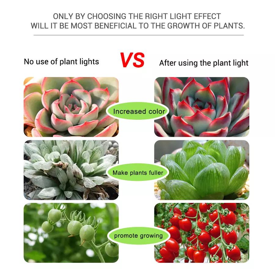 USB PhytoTape Indoor Planting  - Planted Aquarium Hours review and price