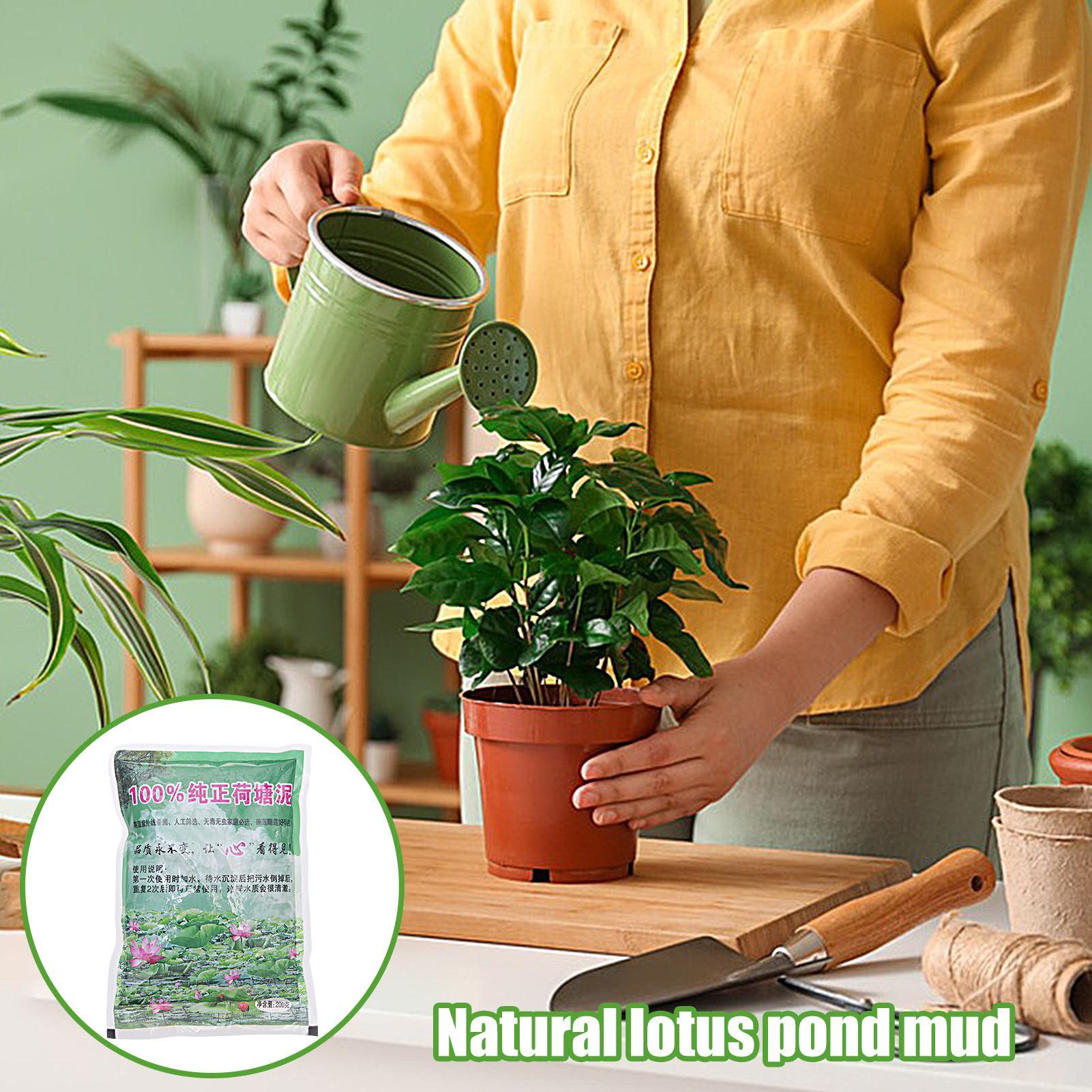 200g/bag Aquarium Soil Natural - Aquarium Plant Seeds review and price