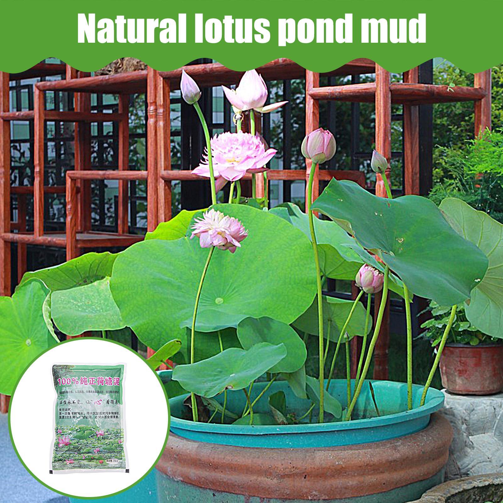 200g/bag Aquarium Soil Natural - Aquarium Plant Seeds review and price