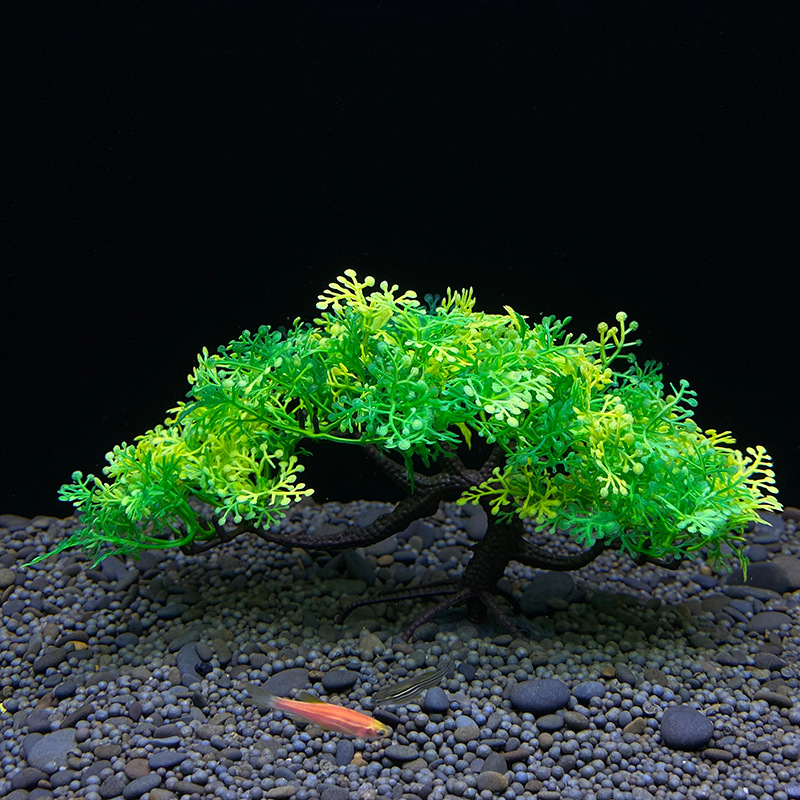 Aquarium bonsai tree, plant, f - Aquarium Plant Seeds review and price