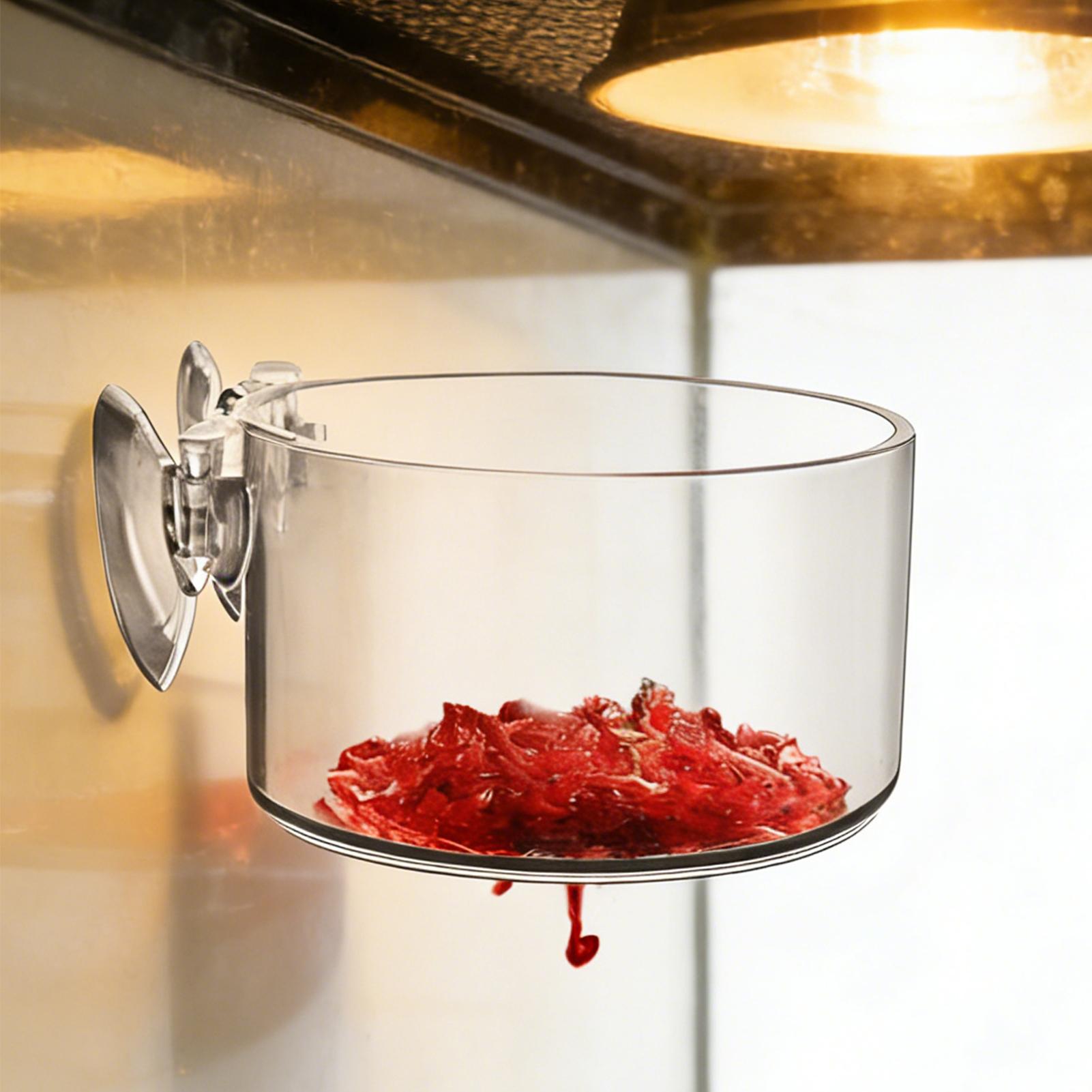 Acrylic Aquarium Plant Holder  - Aquarium Planted Background review and price