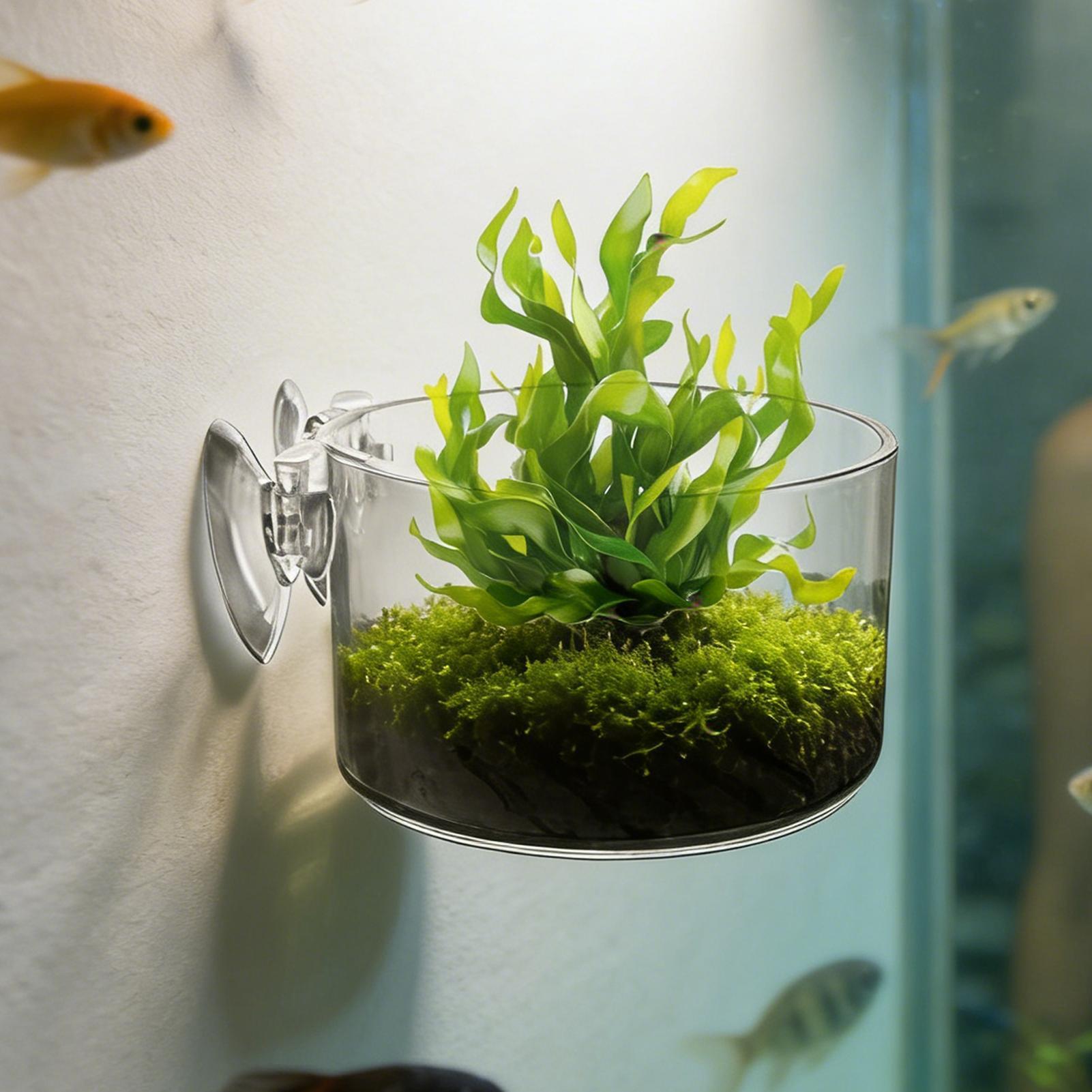 Acrylic Aquarium Plant Holder  - Aquarium Planted Background review and price