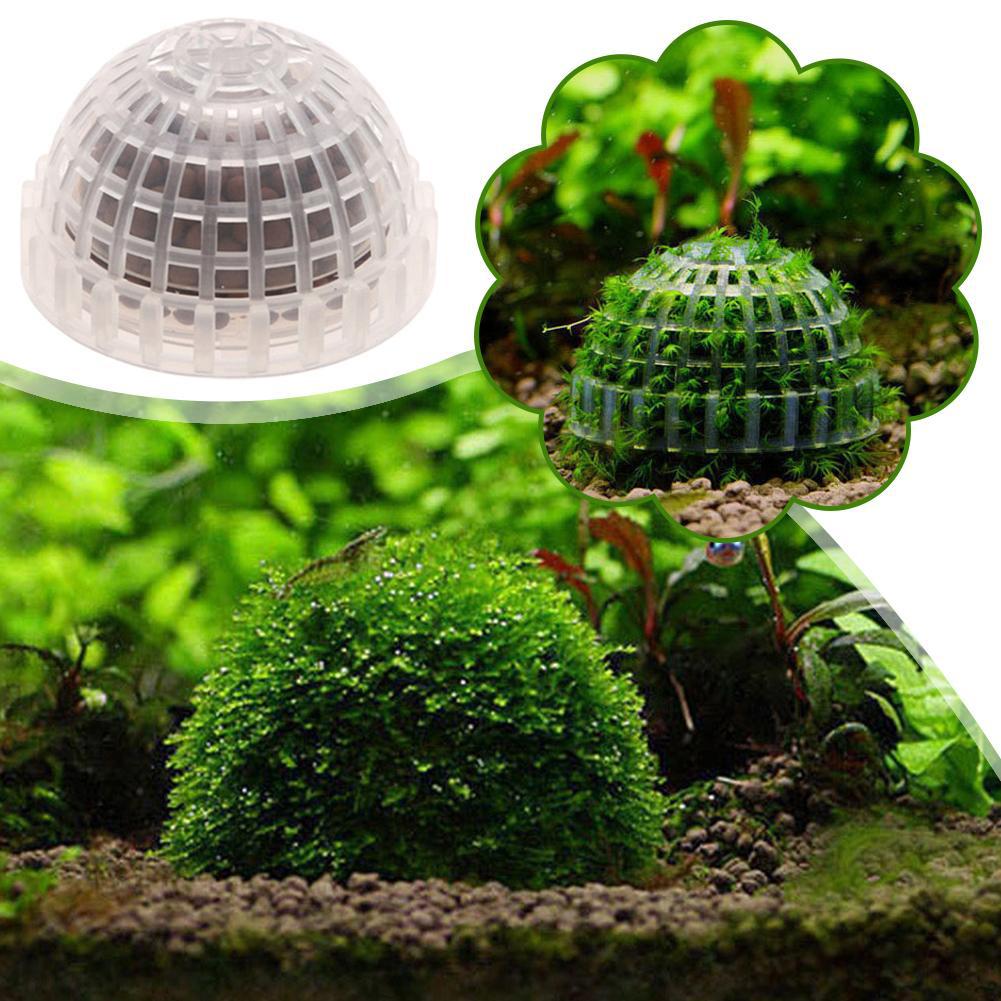 1-5PCS Aquarium Decoration Pla - Aquarium Planted Background review and price