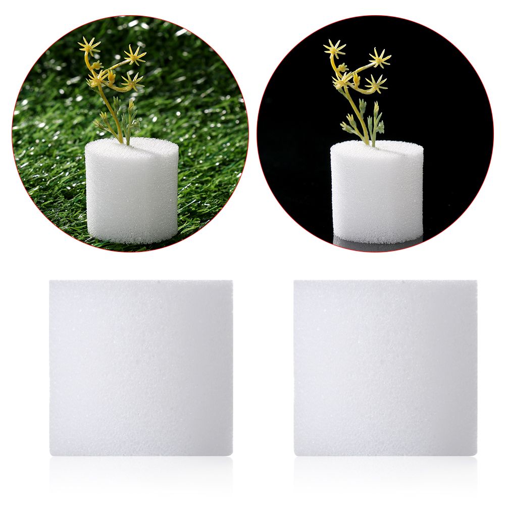 10/50pcs Durable Garden Suppli - Aquarium Plant Seeds review and price