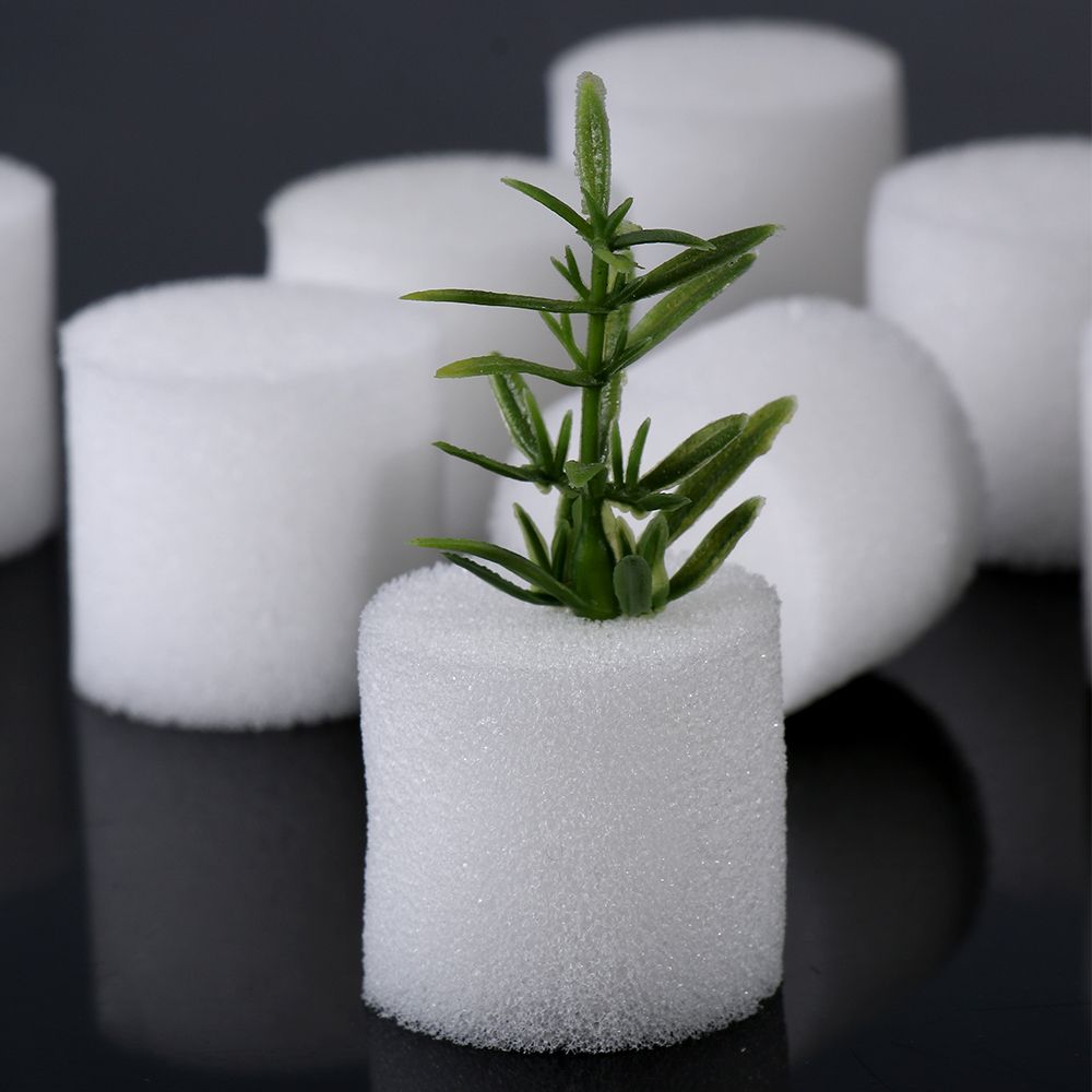 10/50pcs Durable Garden Suppli - Aquarium Plant Seeds review and price