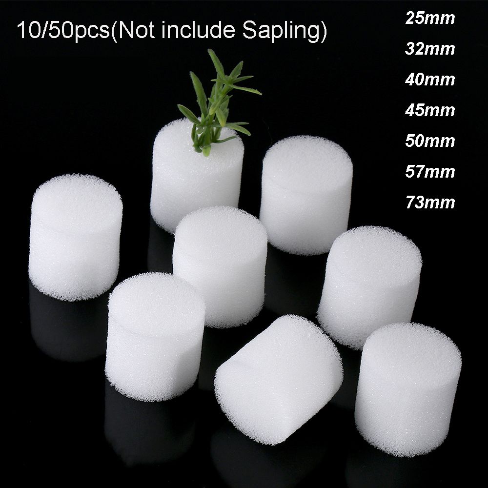 10/50pcs Durable Garden Suppli - Aquarium Plant Seeds review and price