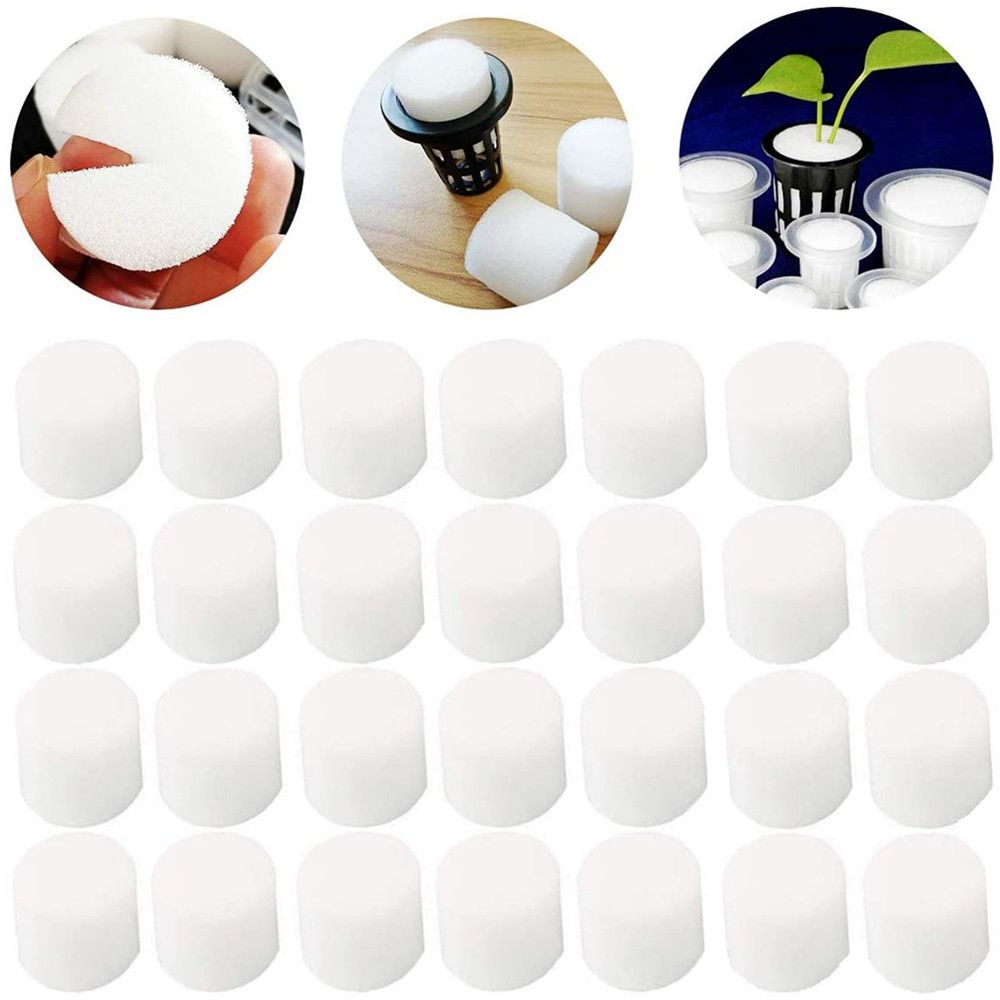 10/50pcs Durable Garden Suppli - Aquarium Plant Seeds review and price