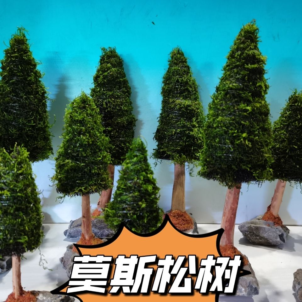 Aquarium Decoration Aquatic Pl - Aquarium Plant Seeds review and price