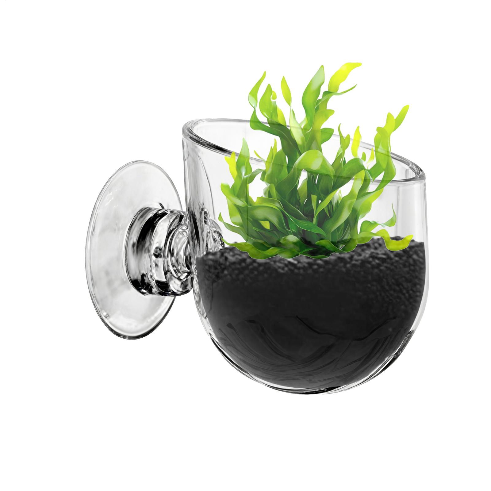 Aquarium Plant Holder Acrylic  - Aquarium Planted Background review and price