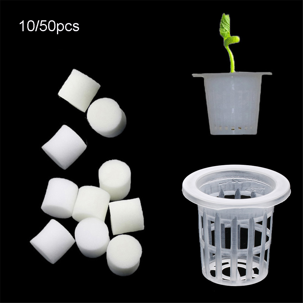 10/50pcs Durable Planting Aqua - Aquarium Plant Seeds review and price