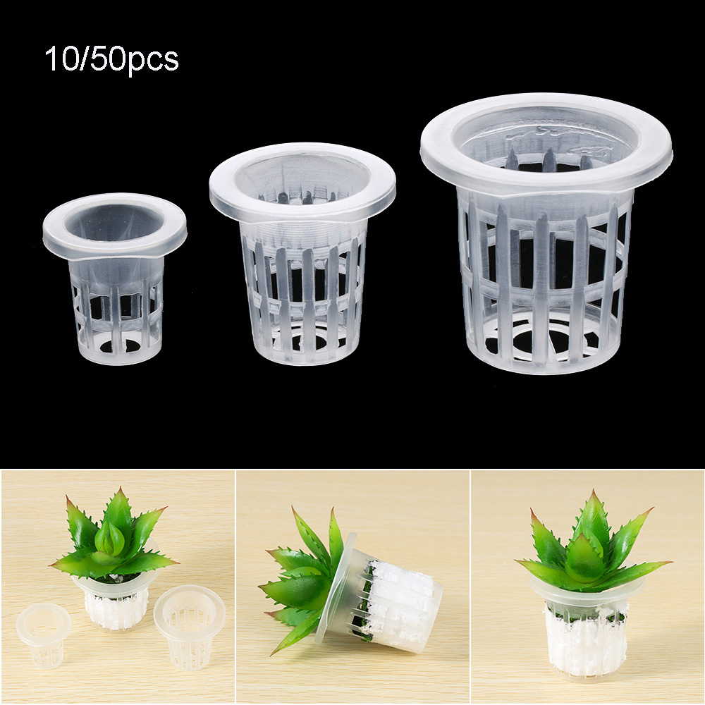10/50pcs Durable Planting Aqua - Aquarium Plant Seeds review and price