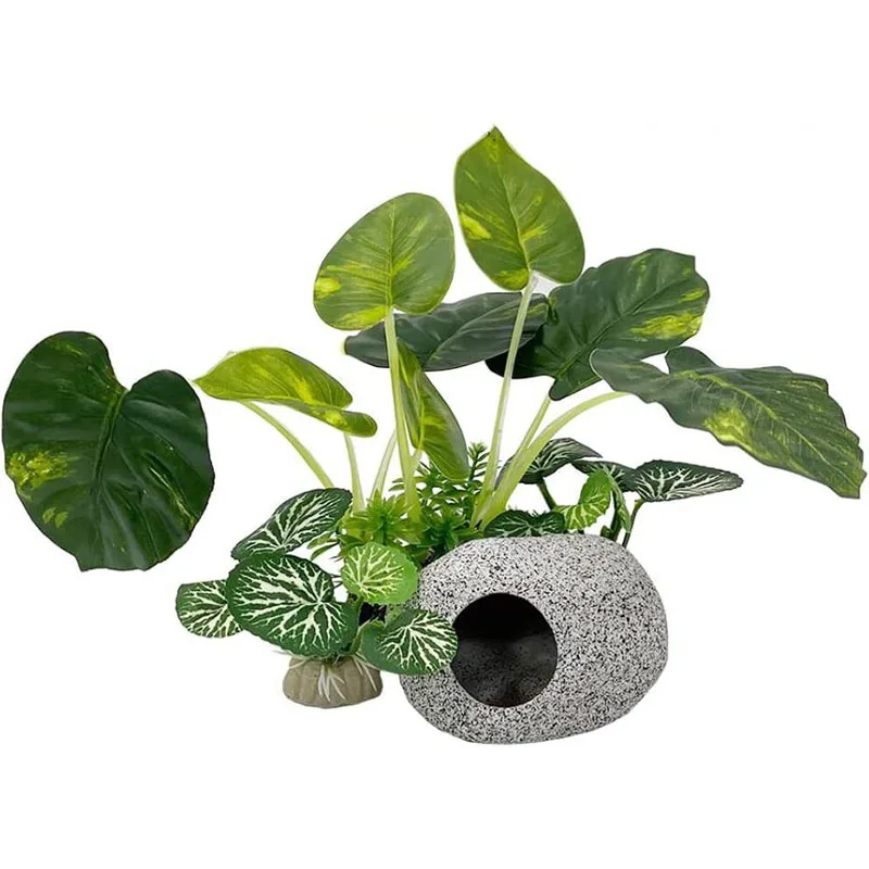 Small Underwater Grass Aquariu - Aquarium Planted Background review and price