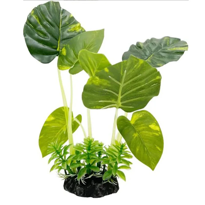 Small Underwater Grass Aquariu - Aquarium Planted Background review and price
