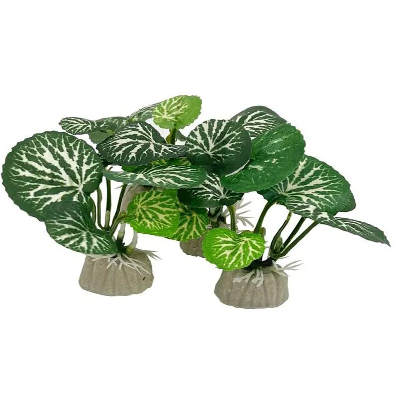 Small Underwater Grass Aquariu - Aquarium Planted Background review and price